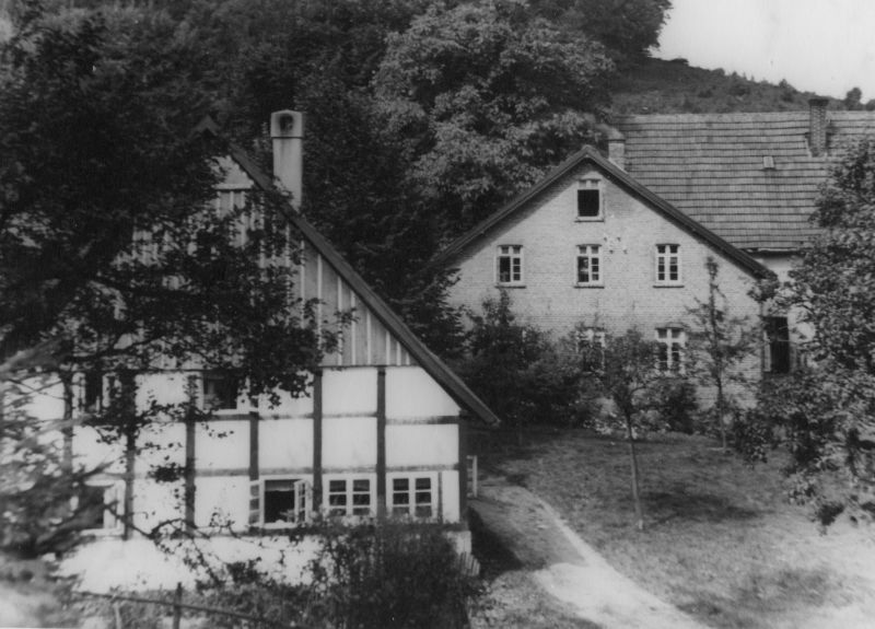 Datei:Bienen-Schmidt 01 red.jpg