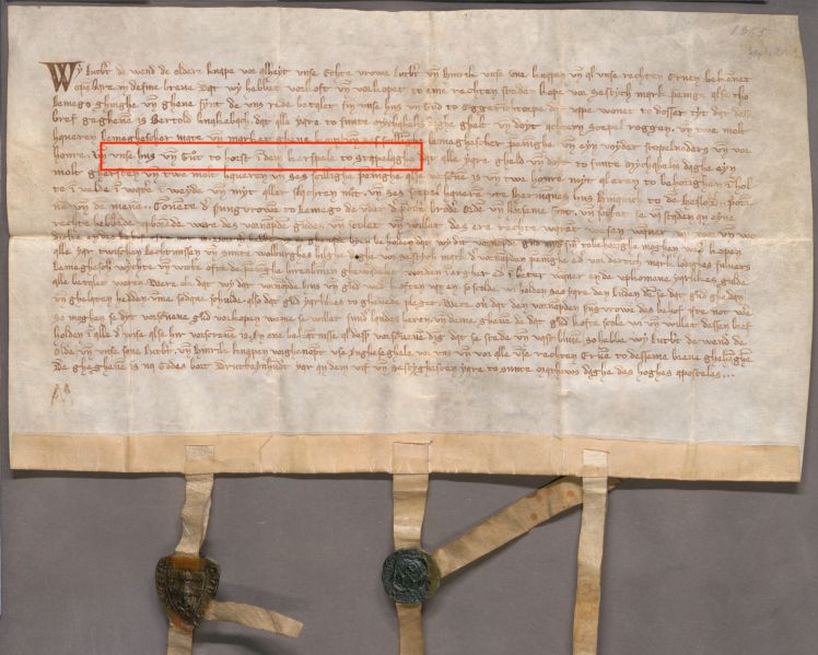 Datei:1365 Urkunde mit Rahmen.jpg