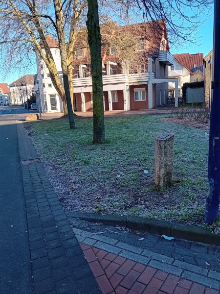 Datei:Paradies Strauß Quillfeld 2.jpg