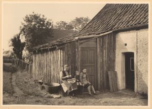 HAU 123 HSA 271.jpg