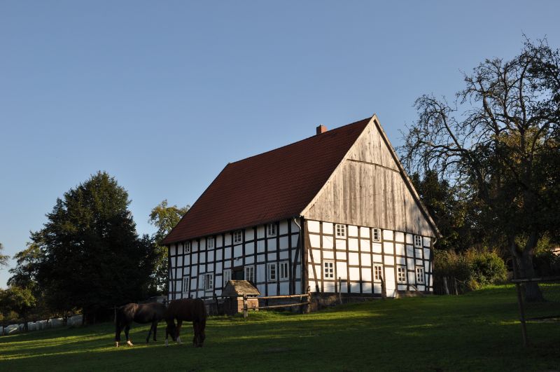 Datei:Hellweg339 311009 05.jpg