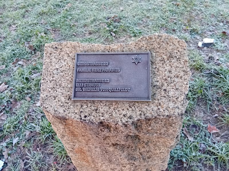 Datei:Paradies Strauß Quillfeld 3.jpg