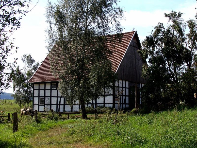 Datei:Neustadt3 230809 2.jpg