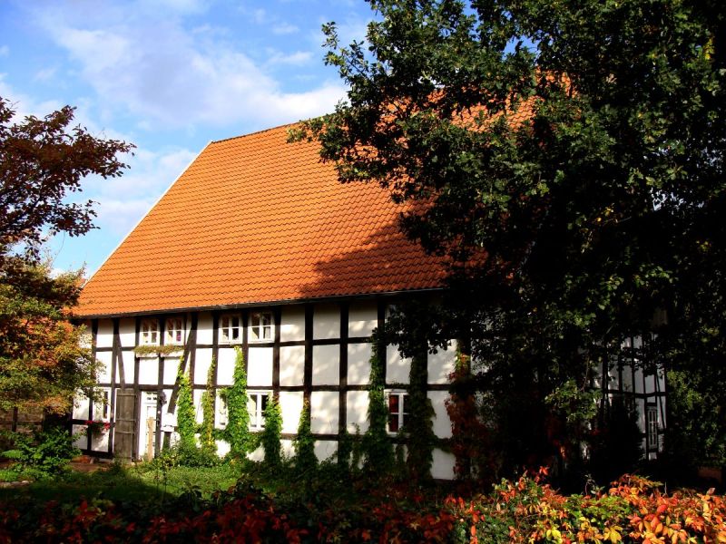 Datei:AmBergkamp9 041009 3.jpg