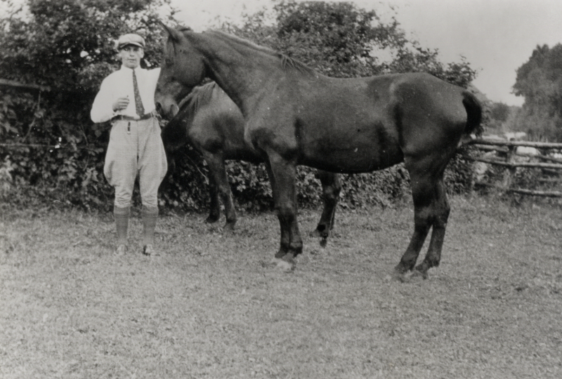 Datei:HID-3 c1950 ME-PK-34-109.png