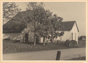 HAU 081 HSA 267.jpg