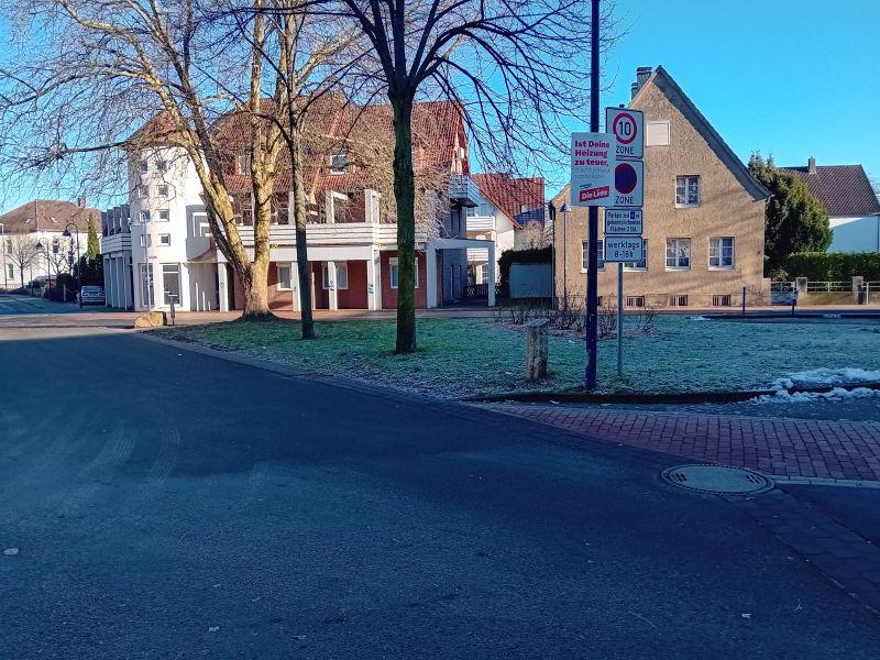 Datei:Paradies Strauß Quillfeld 1.jpg