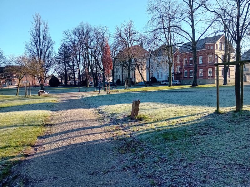 Datei:Vorreuter u Tannenbaum 1.jpg
