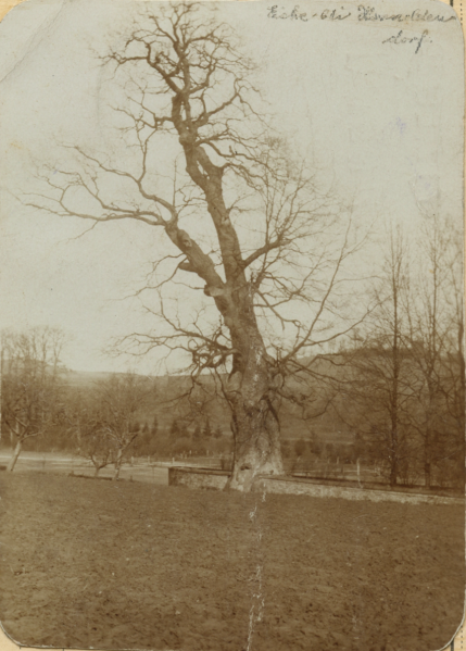 Datei:DT-Holdf Rittergutsweg1 BA DT-66-11.png