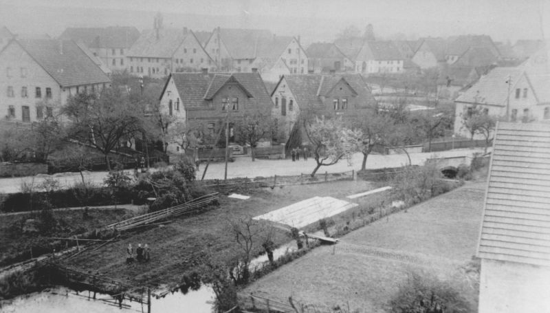 Datei:Schlangen 259 261.jpg